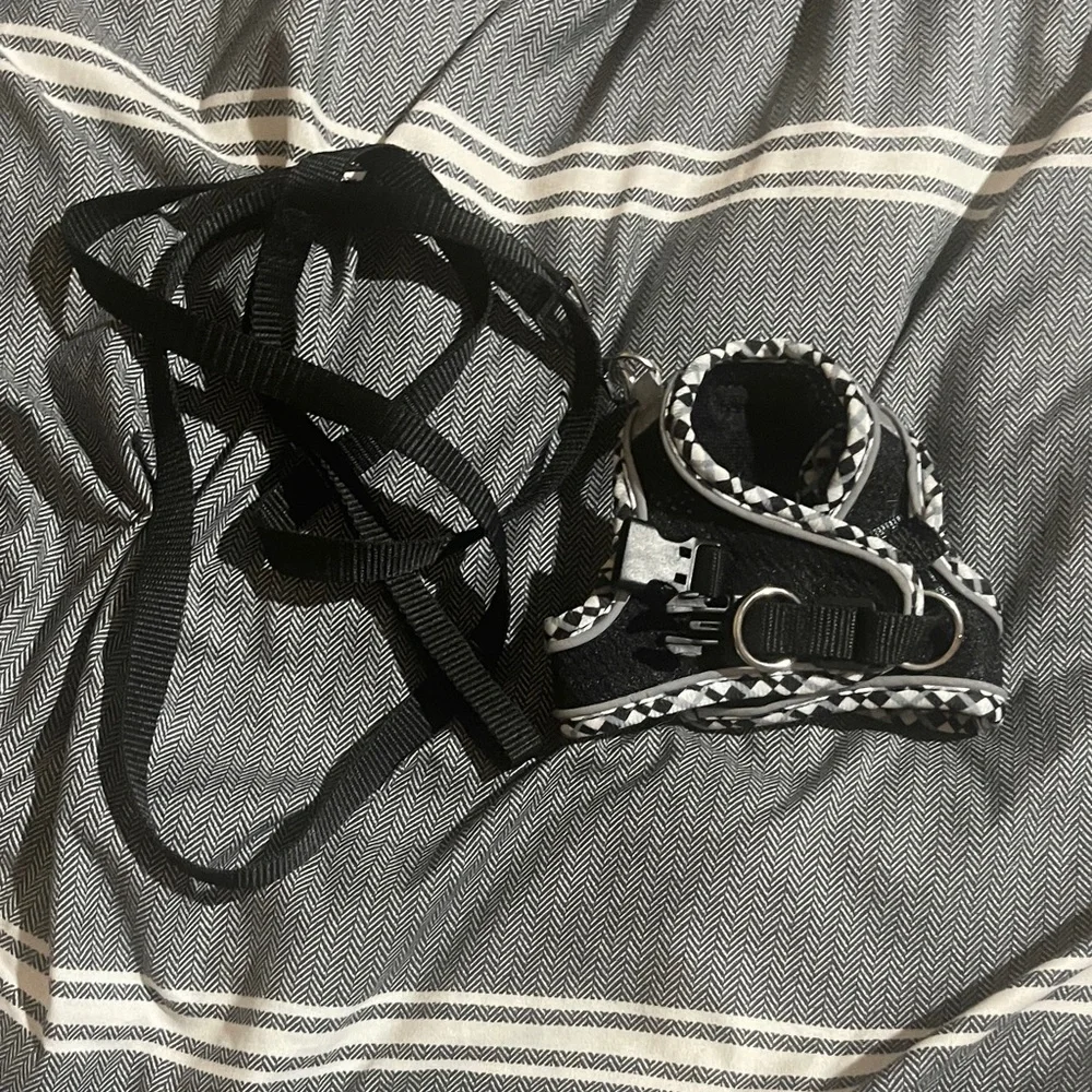 Chic Black and White Cat Harness and Leash Set
